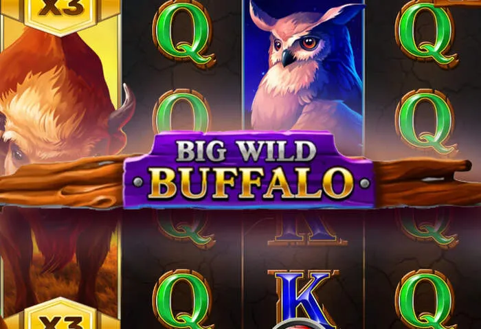 Empire Throne Casino reseña completa: juegos, bonos de bienvenida y características.